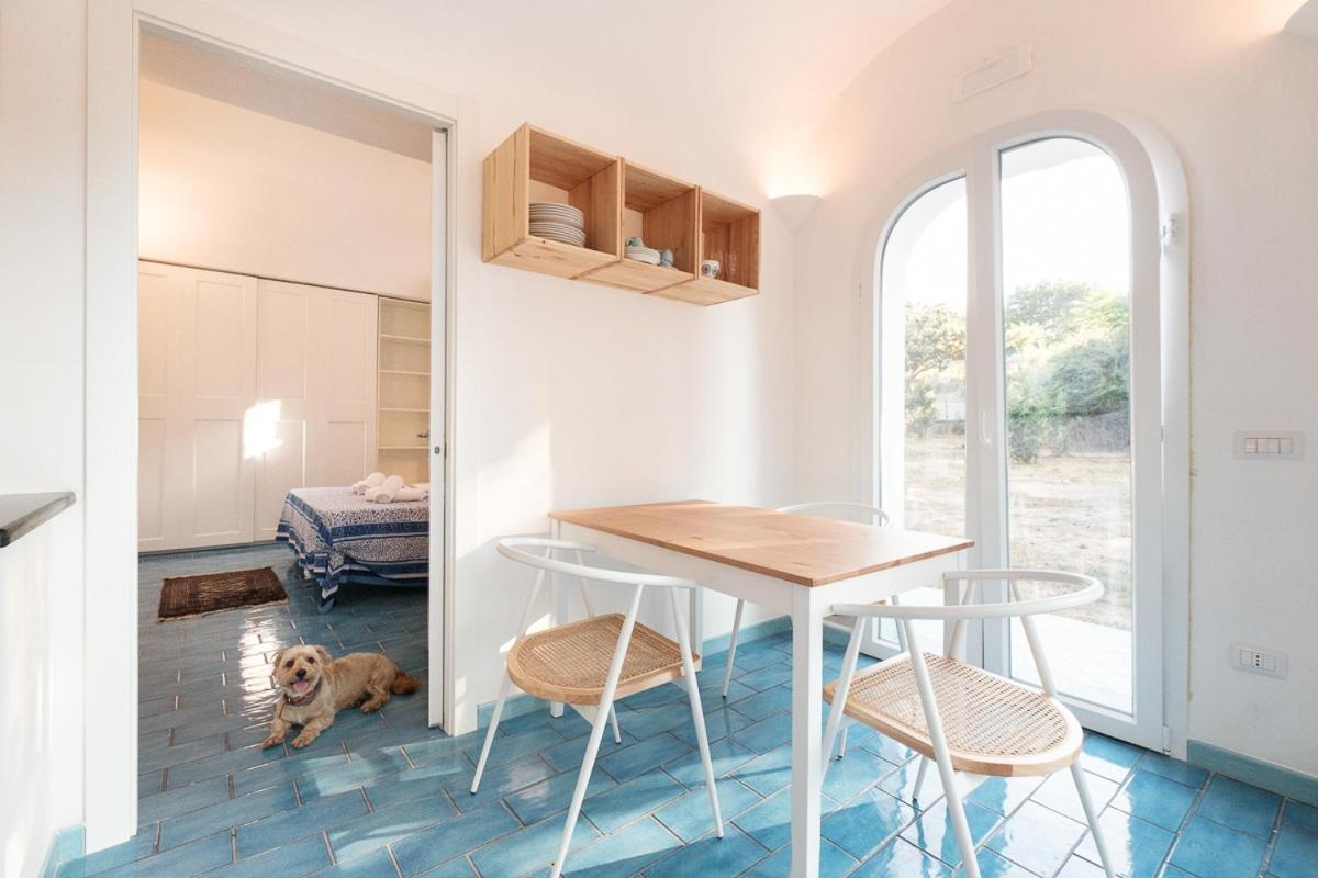 La Rosa Dei Venti Aparthotel Procida Buitenkant foto